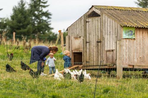 Agroturismo Huntstile Organic Farm