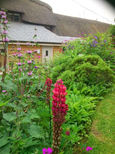 The Steppes - B&B