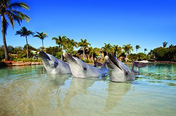 Hotel Sea World Resort