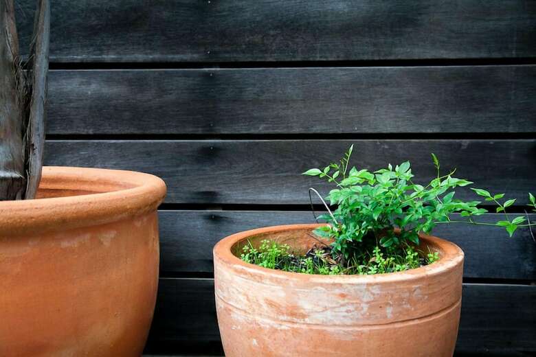 Apartamento Perricoota Vines Retreat