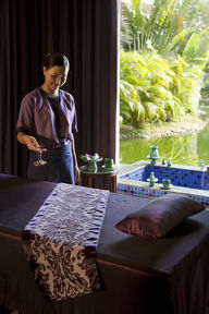 Hotel Banyan Tree