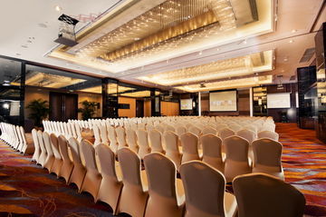 Hotel Millennium (s�lo Hab Dlx)