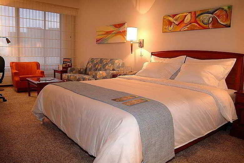 Hotel NH Royal Cali