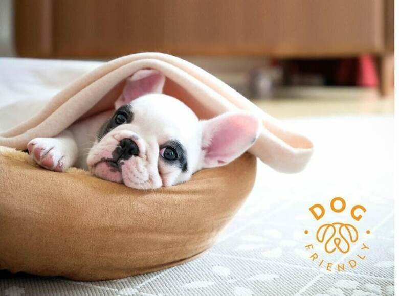 Hotel Fiesta Americana Merida