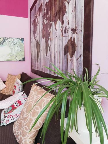 Bed & Breakfast Aloi Rooms