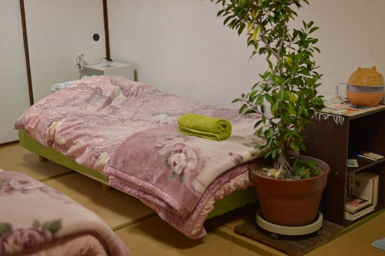 Hostal Guest House Neko Neko