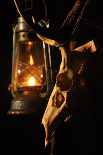 Mahoora Tented Safari Camp - Yala