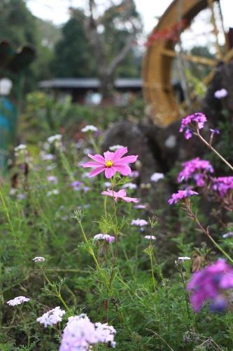 Ming Xuan Xiao Ju Homestay