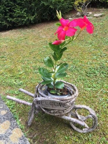 Villa Bellavalle