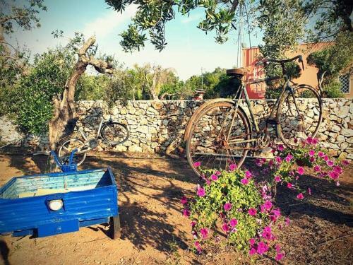 Apartamento Oasi San Pio