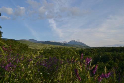 Agroturismo Agriturismo Tholos