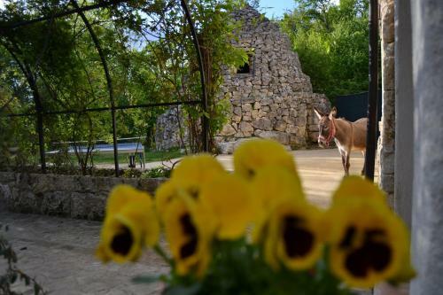 Agroturismo Agriturismo Tholos