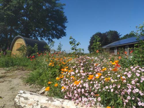 Chalet Met Houten Trekkershut En Hottub