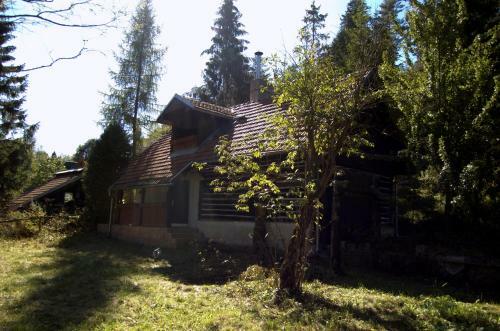 Lodge Baby Bear Cottage