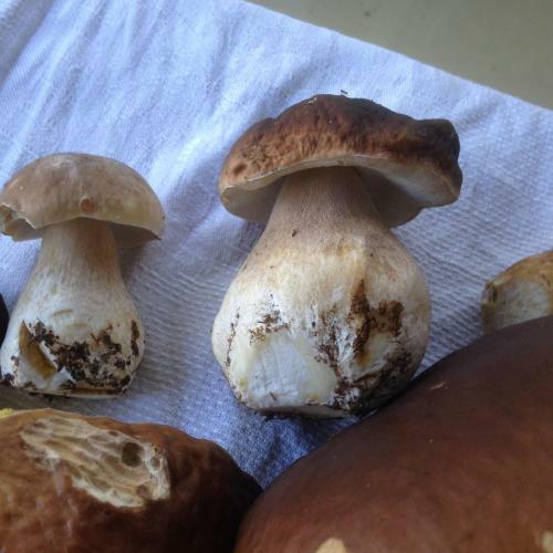Posada Lilla Trulla G�rdshotell