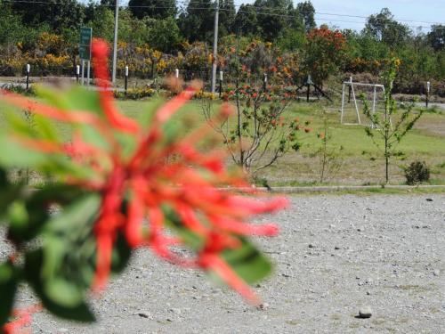 Lodge Caba�as Miradores Del Panitao