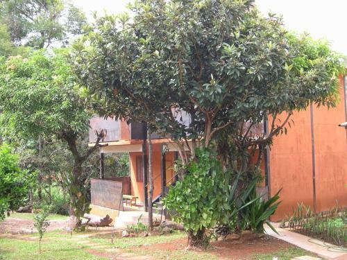 Hostal Ti� Isolda Artes & Hospedaria