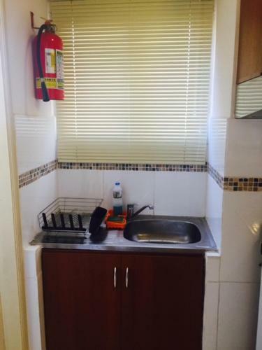 Apartamento Paraguay Alquileres Temporarios