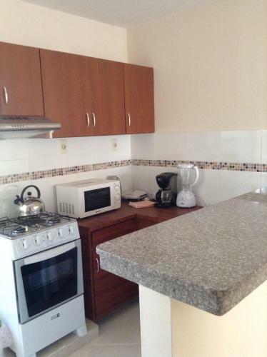 Apartamento Paraguay Alquileres Temporarios