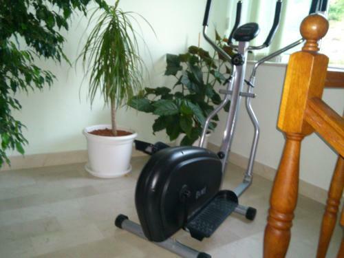 Hostal Guesthouse Zeko Rozat