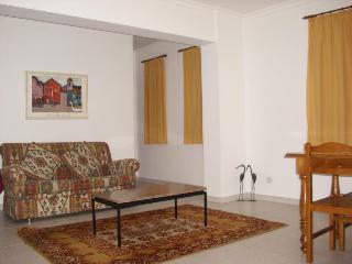 Hotel D. Carlos Residencial