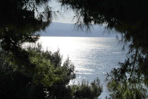 Apartments By The Sea Zavode (omis) - 5252