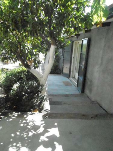 Bed & Breakfast L'albero Di Alberto