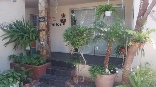 Springbok Apartments
