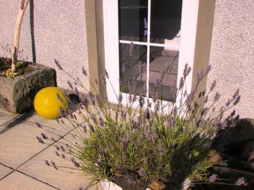 Causeway Smithy B&B