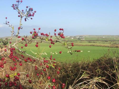 Causeway Smithy B&B