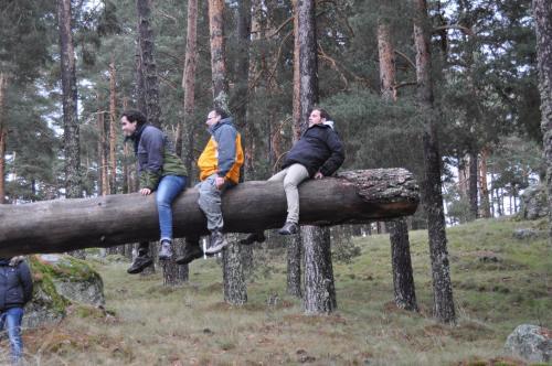 Apartamento La Vieja Usanza De Gredos