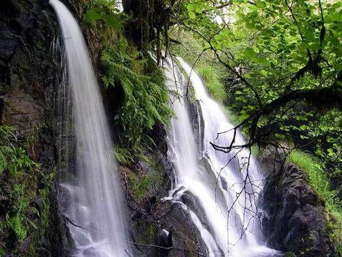 Agroturismo O Curruncho Dos Lopez