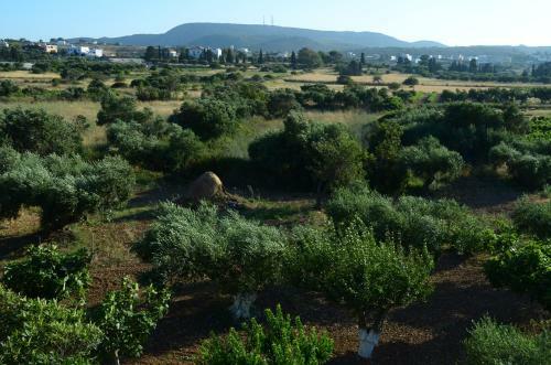 Apartamento Theofilos Appartements