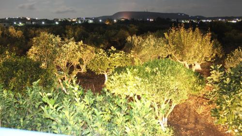 Apartamento Theofilos Appartements