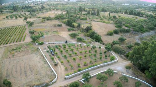 Apartamento Theofilos Appartements
