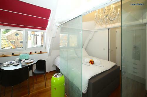 Luxury Apartments Delft V History Written
