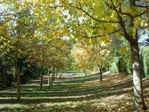 Apartamento Agriturismo Villa Mozart