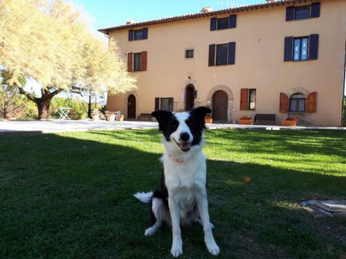 Apartamento Agriturismo Villa Mozart