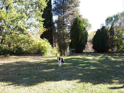 Apartamento Agriturismo Villa Mozart