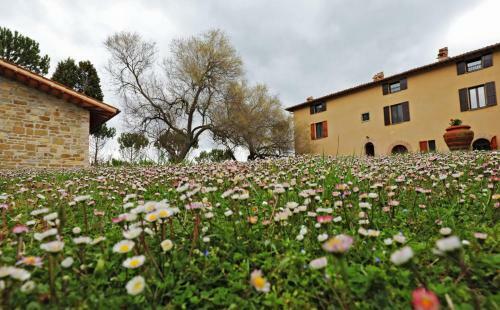 Apartamento Agriturismo Villa Mozart