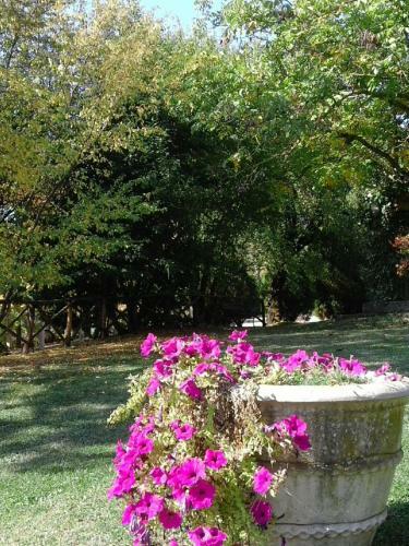 Apartamento Agriturismo Villa Mozart