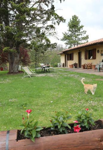 Apartamento Agriturismo Villa Mozart