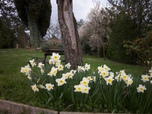 Apartamento Agriturismo Villa Mozart