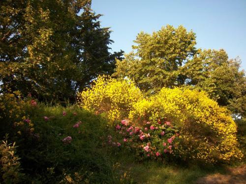 Apartamento Agriturismo Villa Mozart