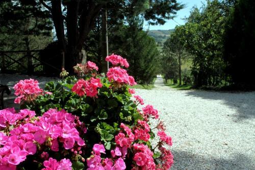 Apartamento Agriturismo Villa Mozart