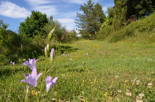 Apartamento Agriturismo Villa Mozart