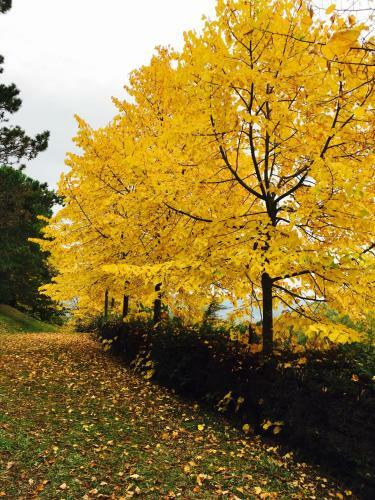 Apartamento Agriturismo Villa Mozart