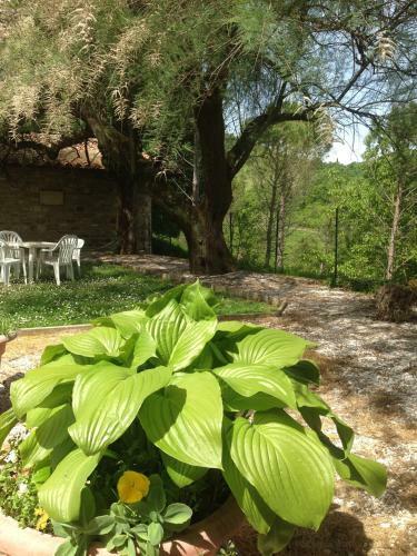 Apartamento Agriturismo Villa Mozart