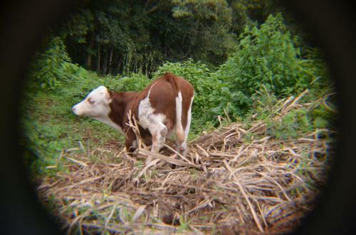 Hotel Portal De La Monta�a