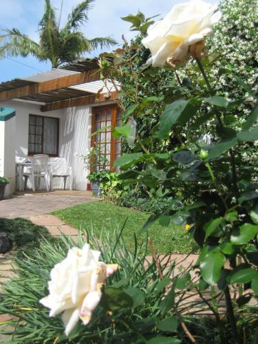 Oakhampton Bed And Breakfast